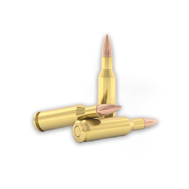 5.56x45 mm M193 Fişeği